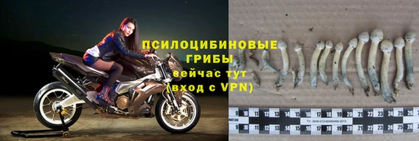 mdpv Богданович