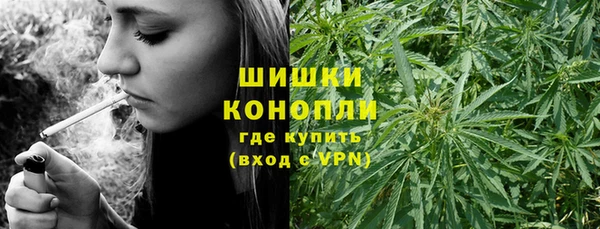 mdpv Богданович