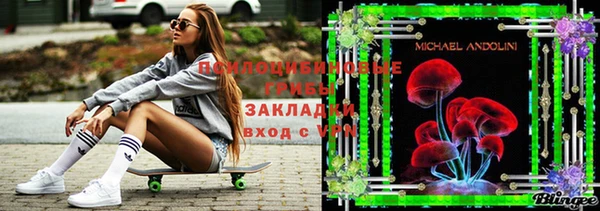 mdpv Богданович