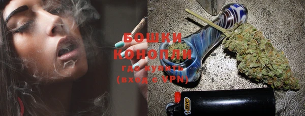 mdpv Богданович